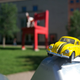 Illustration for article titled Torchbug Photodump Three of Four